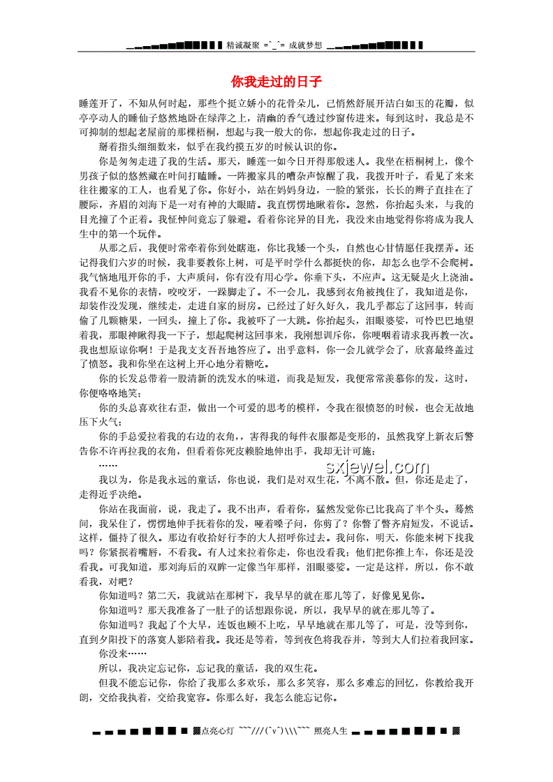 高考作文的那些日子，我的得与失📝